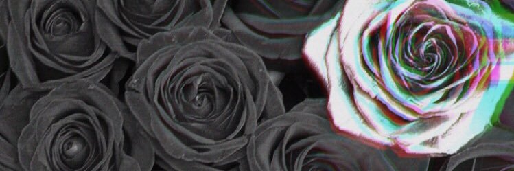 RKiaveth's profile banner image