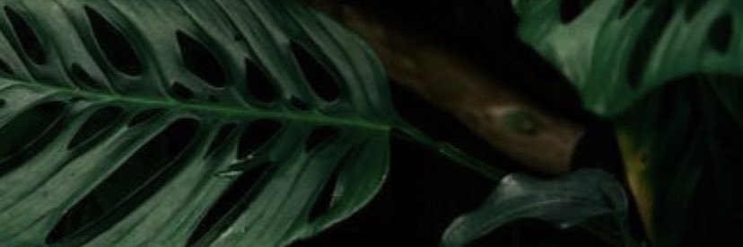williauhm's profile banner image