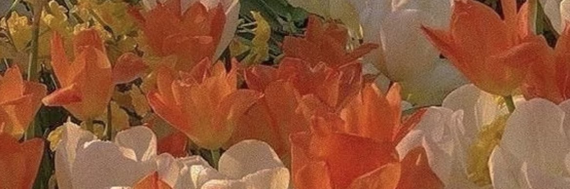 MilocheLea's profile banner image