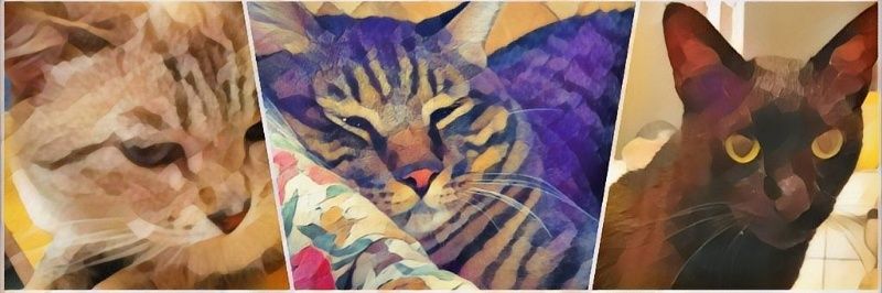 Sion_RED's profile banner image