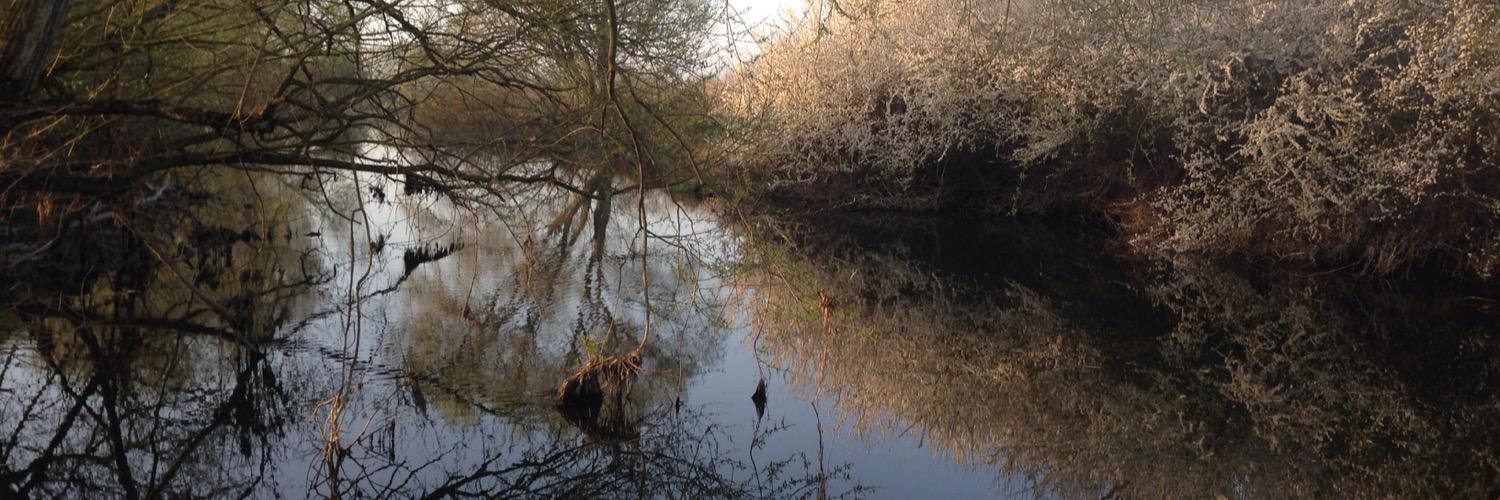 Greatriverouse's profile banner image