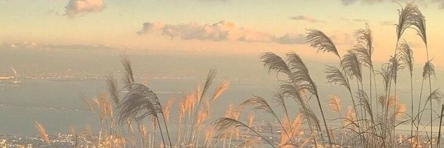 Sh_E69's profile banner image