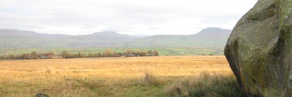 HasisD Profile Banner
