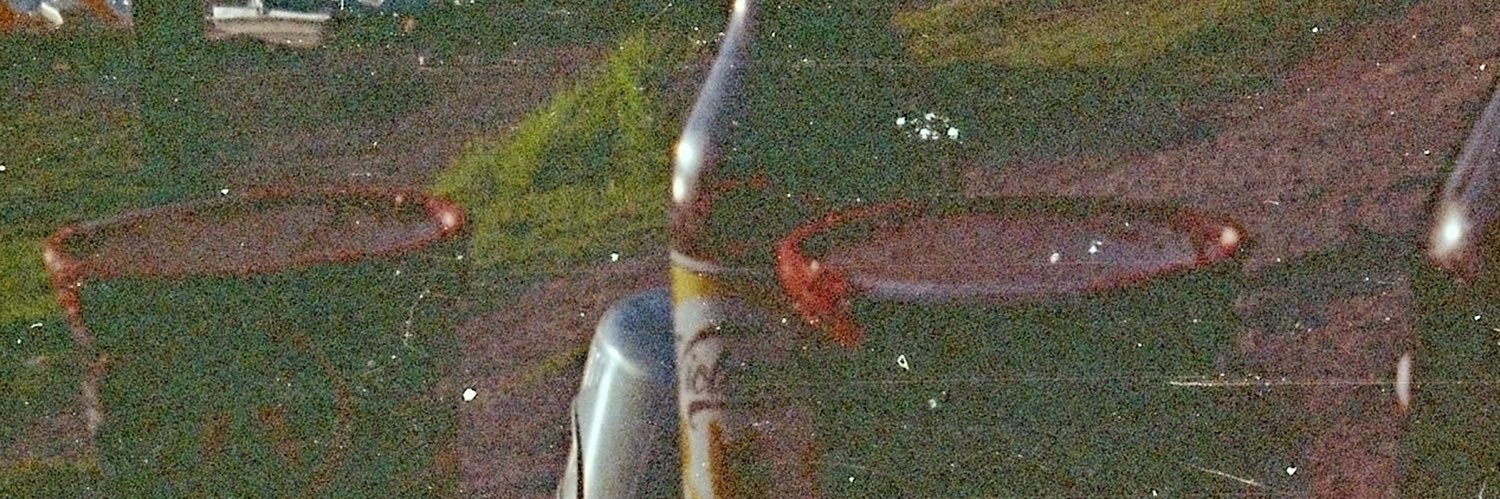 amethystgrrl's profile banner image