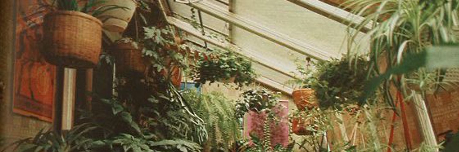 earthtomera's profile banner image