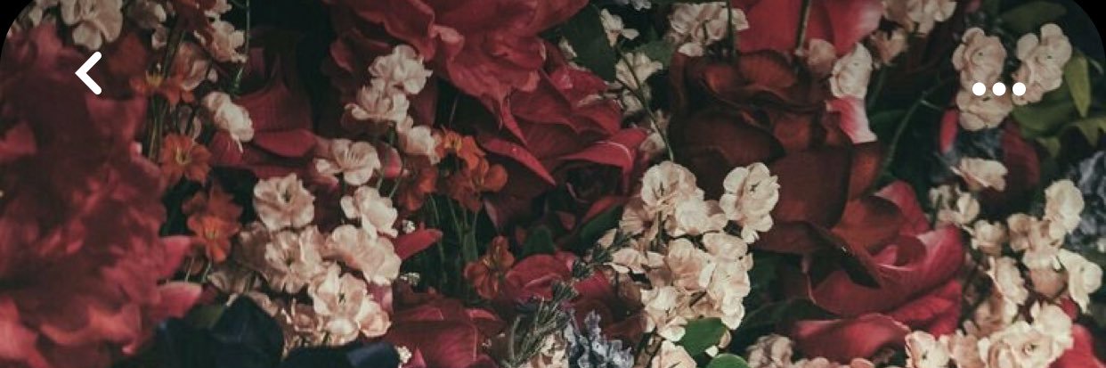 phimpetie's profile banner image