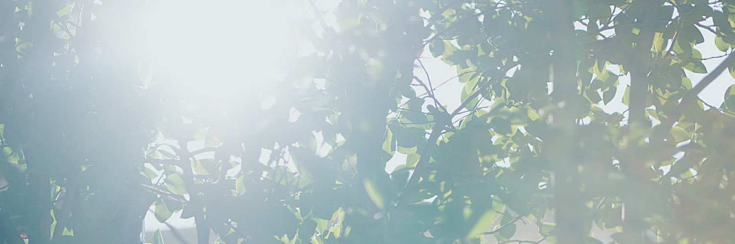osawa_ayano's profile banner image