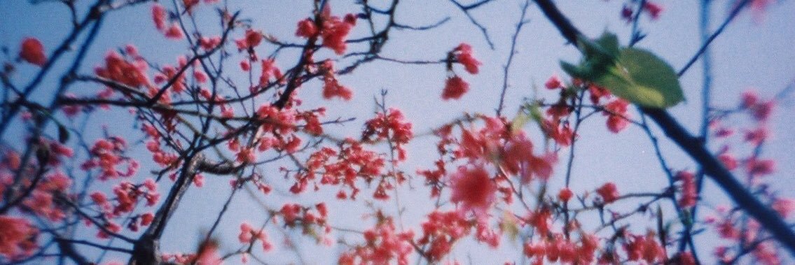 Y_ChiaLin's profile banner image