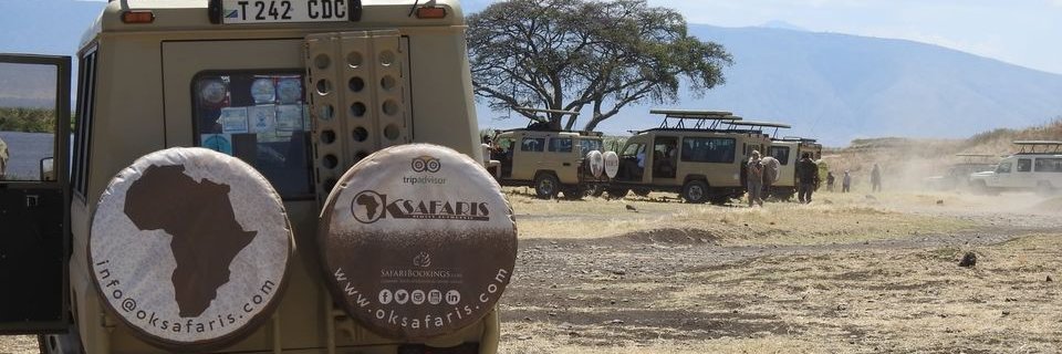 OkaySafaris's profile banner image