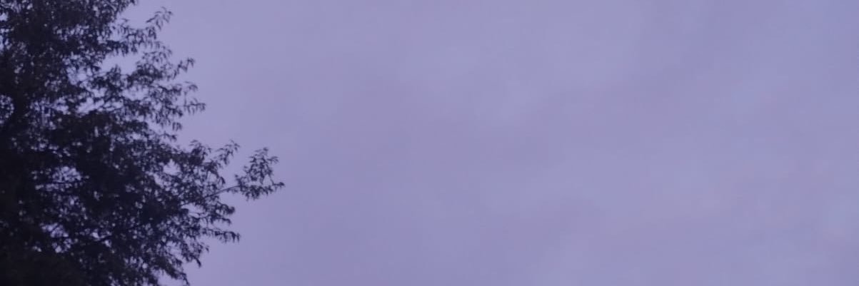 bribribambam's profile banner image