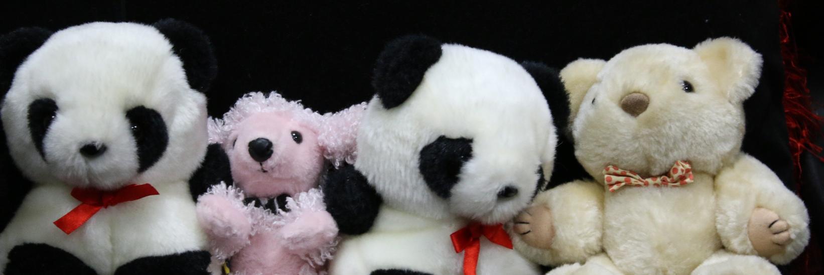 TheBear_Team's profile banner image