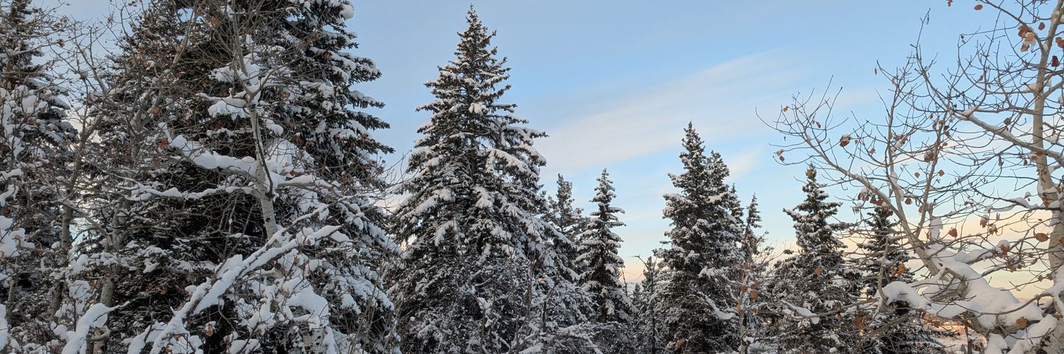 Joseph Schreiber banner