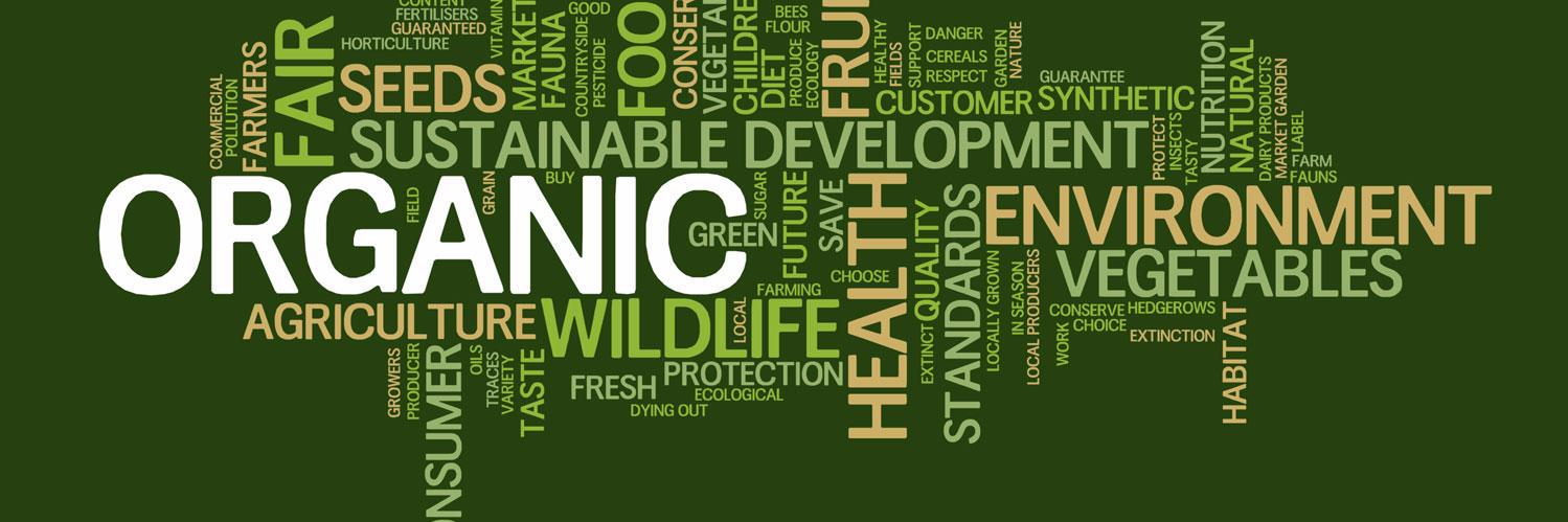 iOrganicDotCom's profile banner image