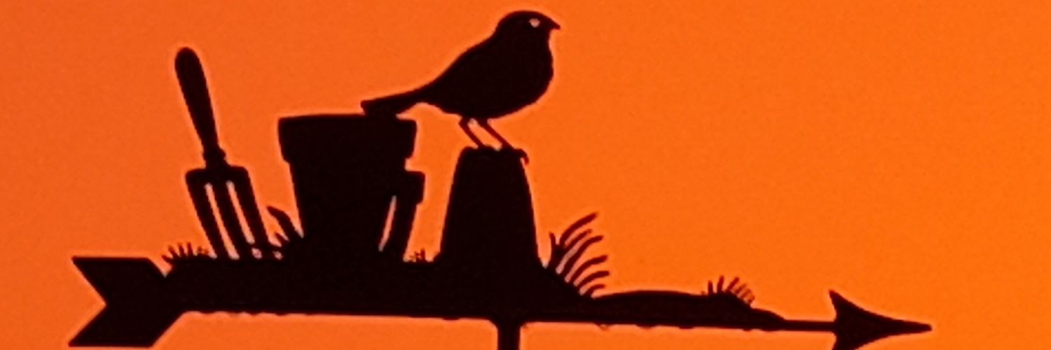 350vee's profile banner image
