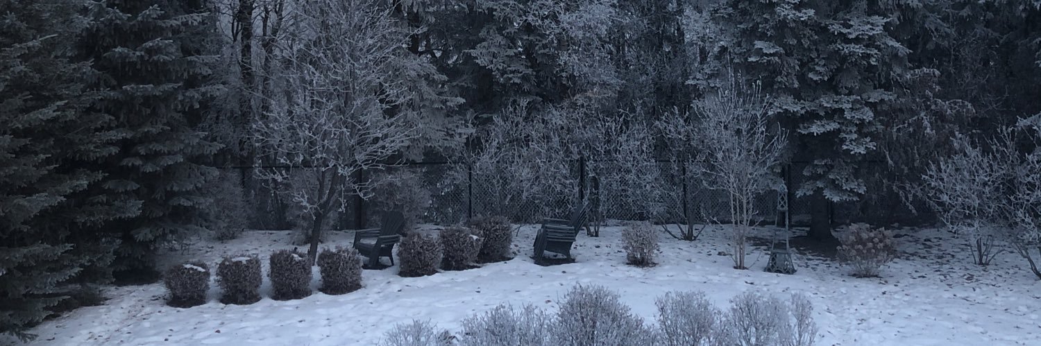 Michael Oshry banner