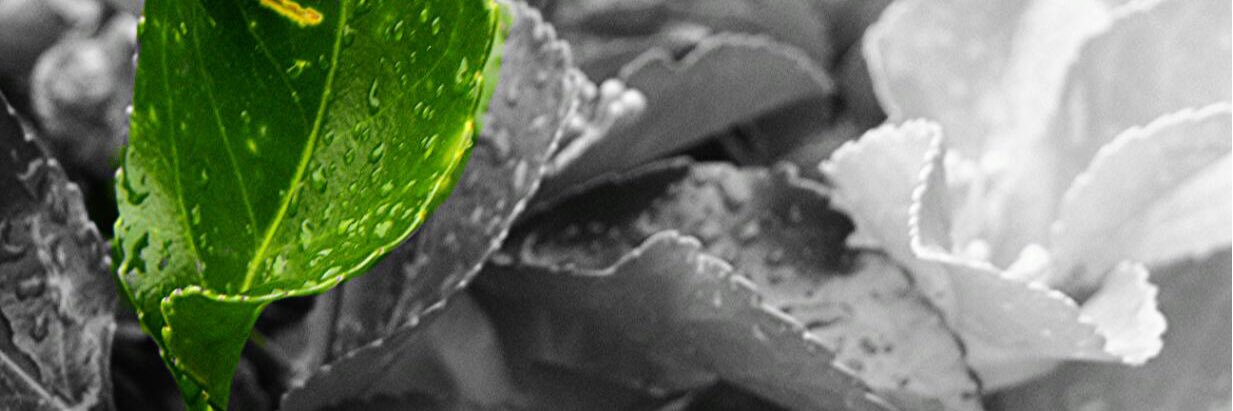 nic66826's profile banner image