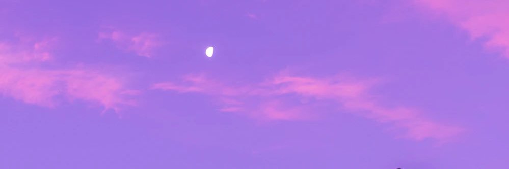 nataliaax_e's profile banner image