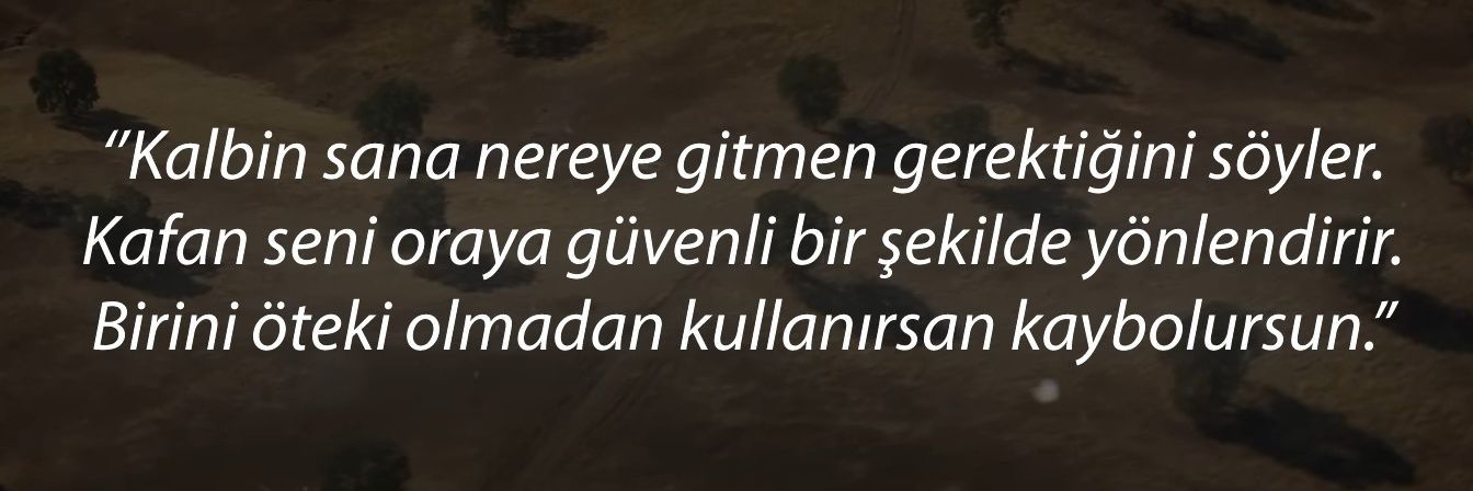 CobanogluFerah's profile banner image