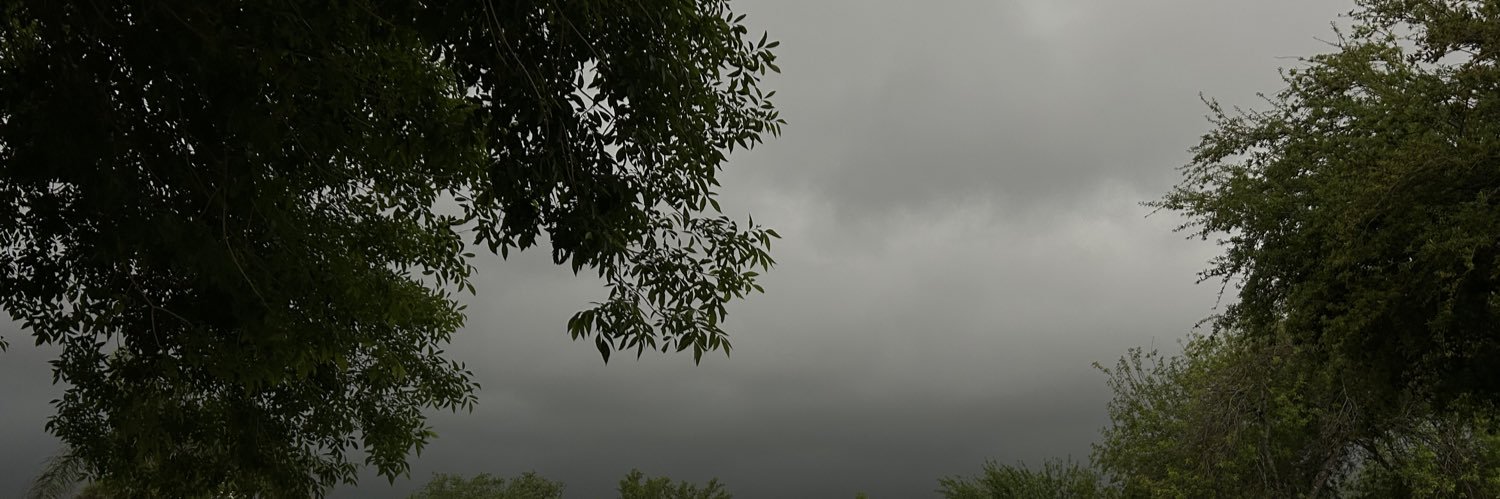 lyss_113's profile banner image