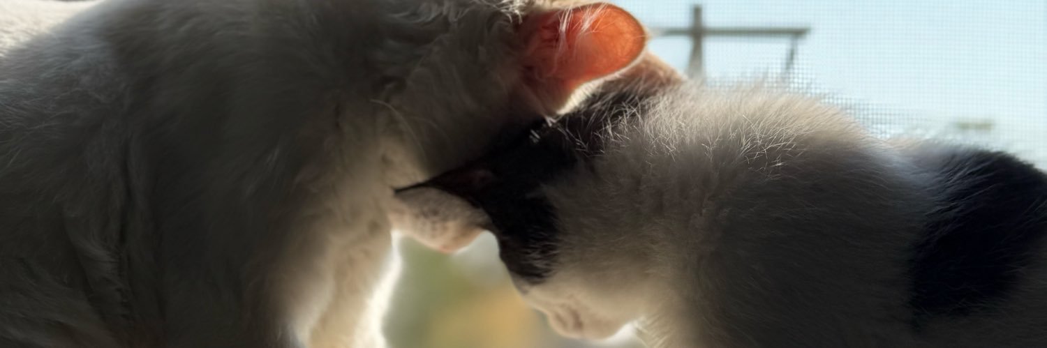 nikkyggn's profile banner image