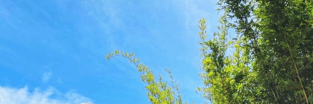 ia banner
