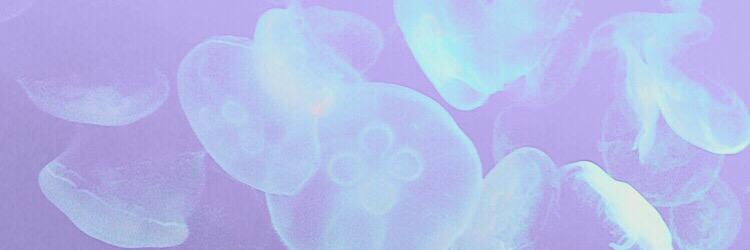 0001030ss's profile banner image