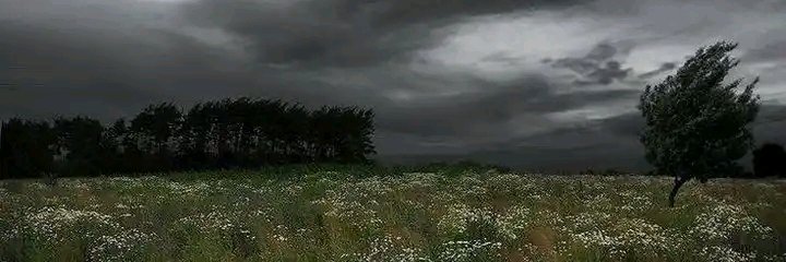 JaceCampos's profile banner image