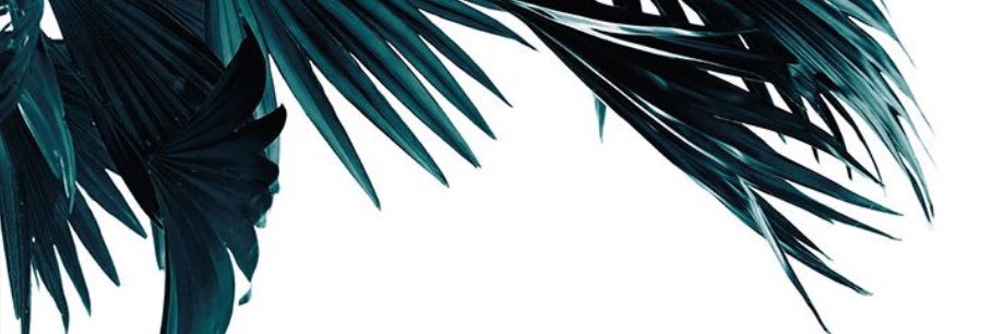 HannahKimpt's profile banner image