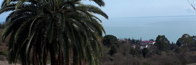 RJSveik's profile banner image