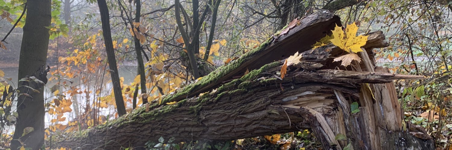 PDostalik's profile banner image