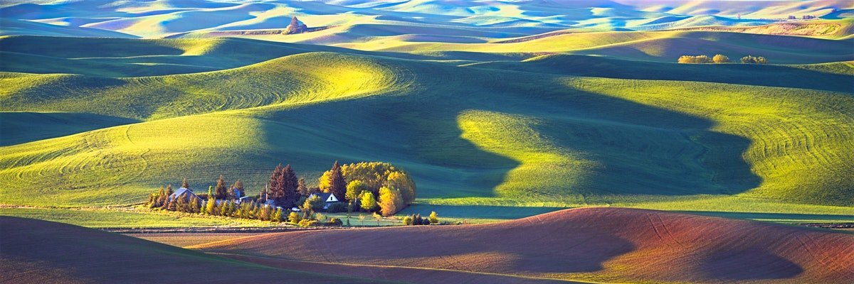 DebsChaliha's profile banner image