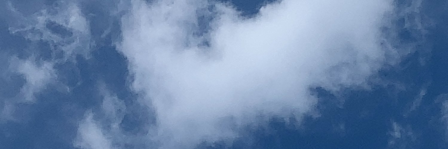 lise_lite's profile banner image