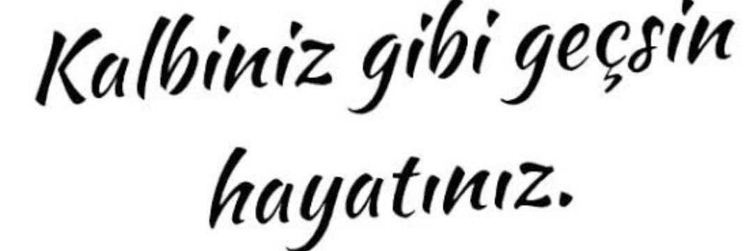 y_ela's profile banner image