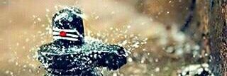 senr0040's profile banner image