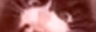 LmaoBoomer's profile banner image