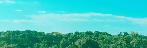 lllumoss's profile banner image