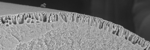 EUMembraneSoc Profile Banner