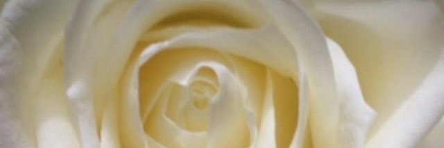 VEIL77's profile banner image