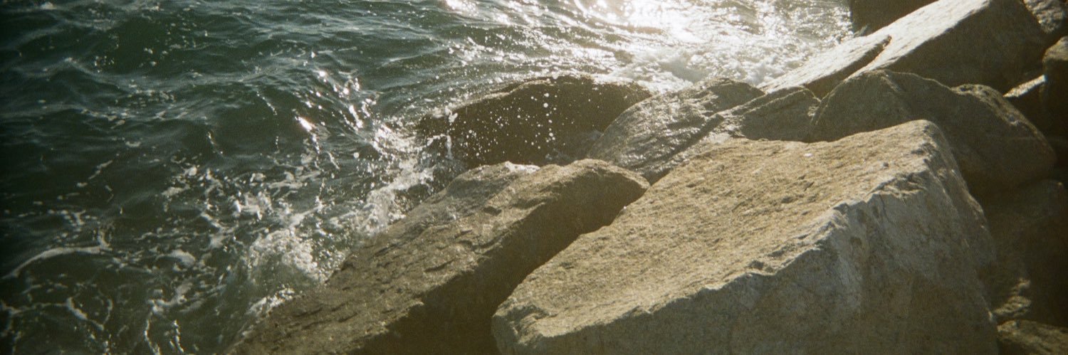 p ◡̈ banner