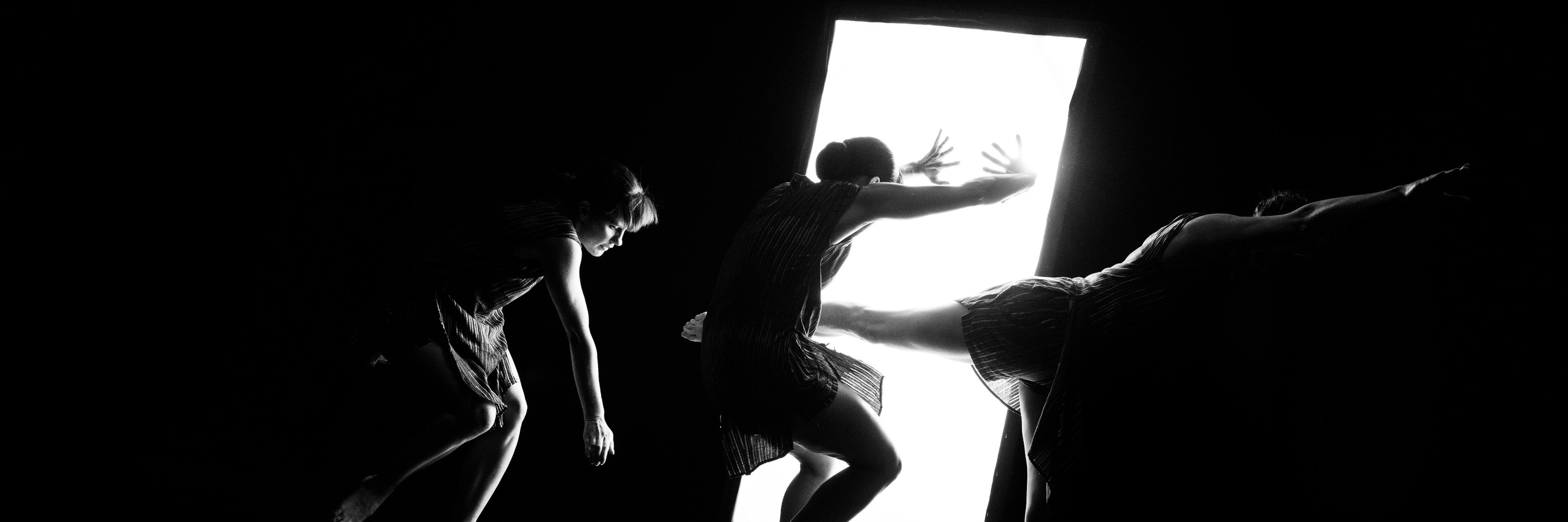 nocturndance's profile banner image