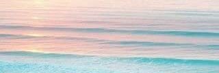 Yusvithaa's profile banner image