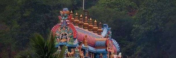 selvapazhani's profile banner image