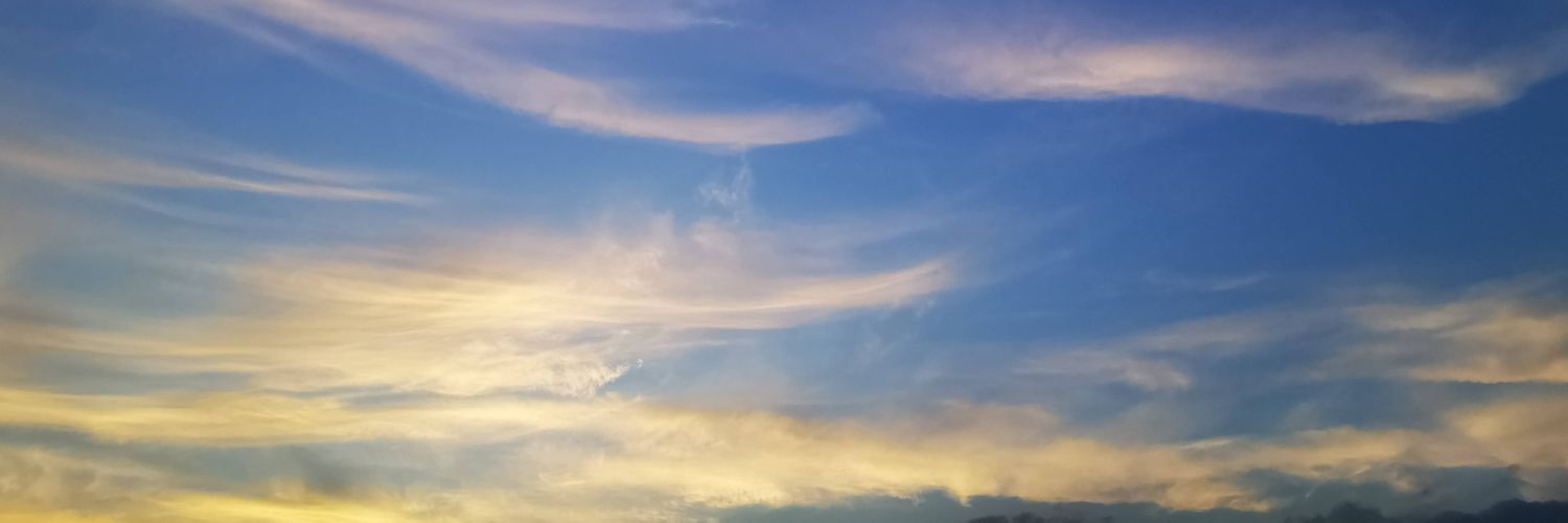 yanasin933's profile banner image