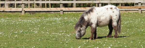 RedwingsTucker Profile Banner