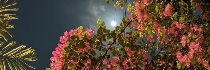 PatelSiddhi's profile banner image
