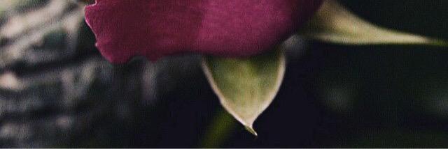 28Aiosh's profile banner image