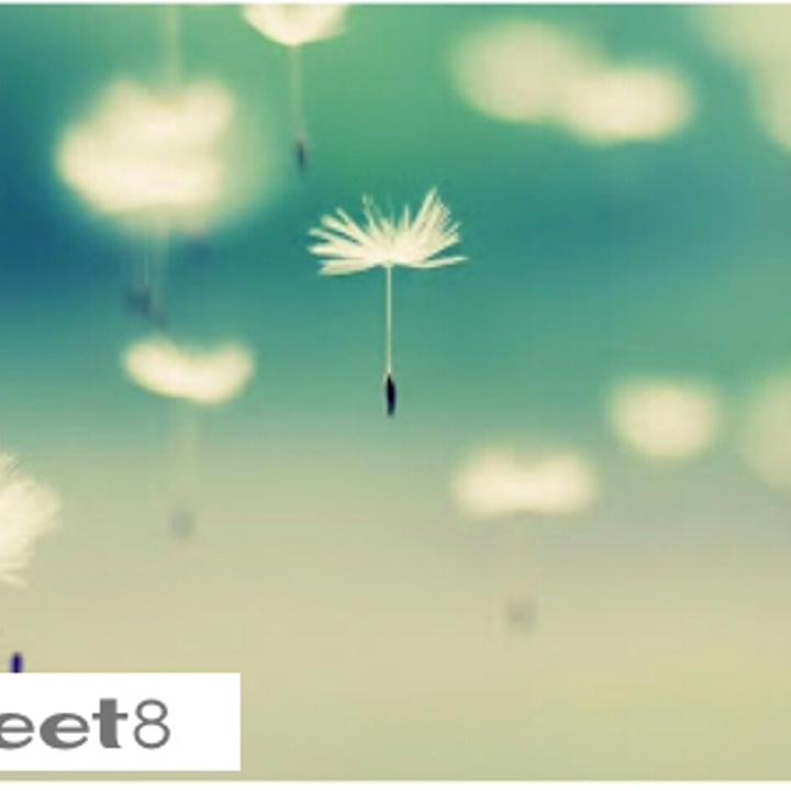 Indotweet8's profile banner image