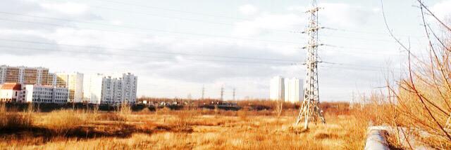Misha81036333's profile banner image