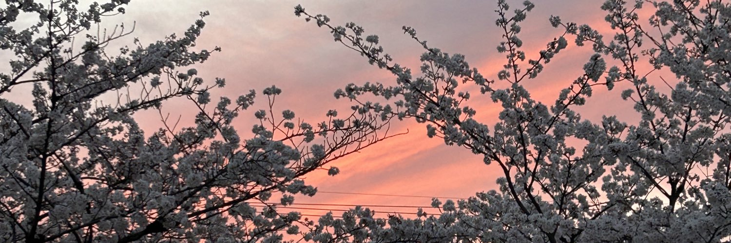 othibohiroi's profile banner image