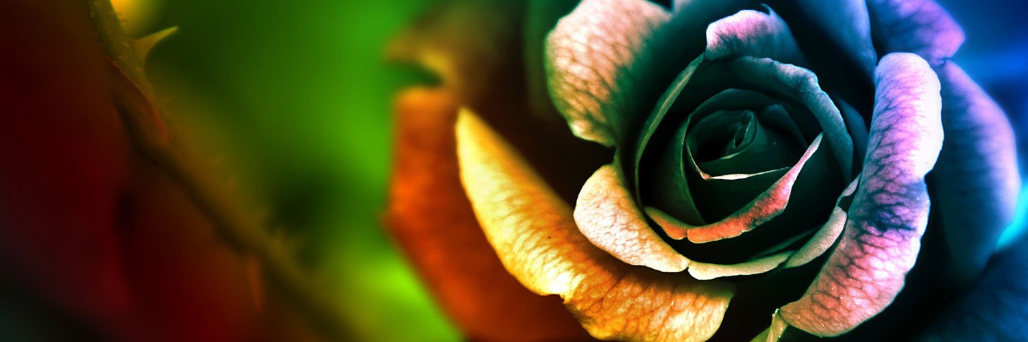 a_k_umeboshi's profile banner image